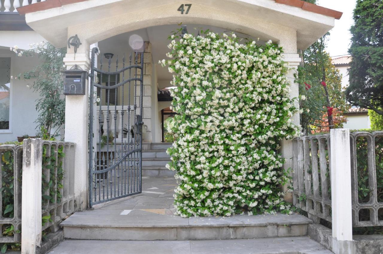 Apartmaji Stamcar Izola Εξωτερικό φωτογραφία